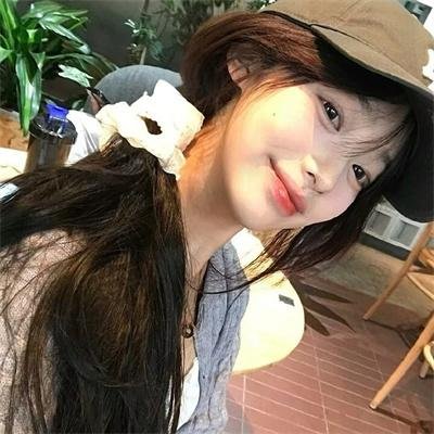 认识狗狗